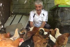 Aileye &ouml;zel hayvanat bah&ccedil;esi