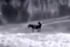 Eşeğe tecav&uuml;z ederken b&ouml;yle yakalandı