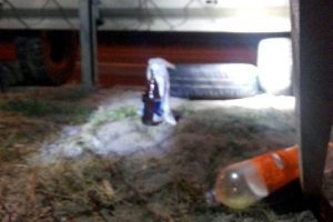 Gebze'de polis ve jandarma ter&ouml;r eylemini &ouml;nledi