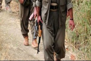 &Ouml;zel harekat 2 PKK'lıyı yakaladı