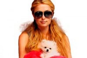 13 bin dolara yavru k&ouml;pek aldı...