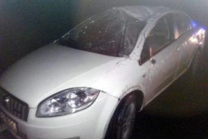 Geyiğe &ccedil;arpan otomobildeki 3 kişi yaralandı