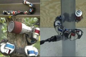 Robotik yılan hayat kurtaracak