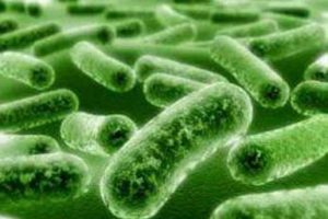 Ebola vir&uuml;s&uuml;yle ilgili bilmediklerimiz