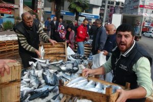Protesto i&ccedil;in palamudun tanesini 5 liradan sattılar