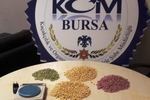 Bursa'da Ecstasy hapla yakalanan 2 kişi...