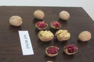 Hem kırmızısını hem de en irisini &uuml;retti
