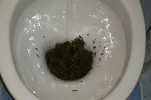Sifonu &ccedil;ekemeden yakalandılar!