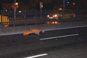 Karşıdan karşıya ge&ccedil;erken hayatını kaybetti