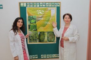 Hastalık ABD'den yayıldı