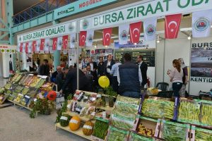 İneg&ouml;l tarımda s&ouml;z sahibi oluyor