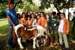 &Ouml;ğrenciler sahipsiz hayvanları sevdi