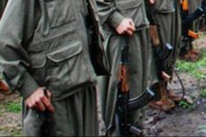 9 PKK'lı teslim oldu