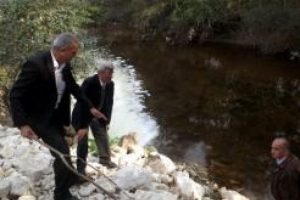 Milletvekili Tayan: Kocasu deresine zehir akıyor, yetkililer ilgisiz