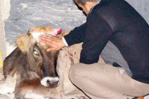 İnsanlık hen&uuml;z &ouml;lmemiş! 2 saat başında...