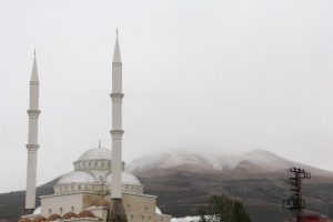 Paland&ouml;ken beyaza b&uuml;r&uuml;nd&uuml;