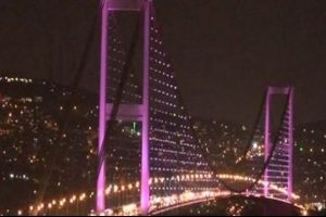 K&ouml;pr&uuml; pembeye b&uuml;r&uuml;nd&uuml;