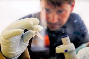 Ebola aşısı 2016'da