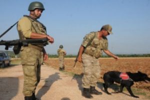Kayıp kişiyi "iz takip k&ouml;peği" buldu