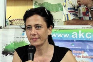 Deniz patlıcanı avı yasaklandı