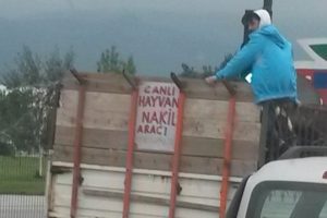 Bursa'dan g&uuml;l&uuml;mseten kareler