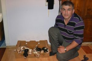Yavru k&ouml;pekleri sahipsiz bırakmadı