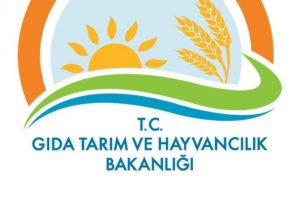 1,9 milyon hektarlık alan meraya d&ouml;n&uuml;şt&uuml;r&uuml;ld&uuml;