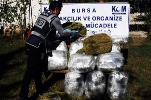 Bursa'da 74 kilogram esrar ele ge&ccedil;irildi