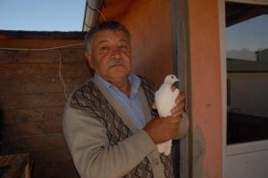 G&uuml;vercin sevgisi başına bela oldu