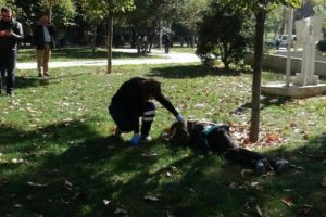 Gezi Parkı'nda &ouml;l&uuml; bulundu