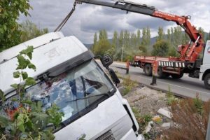 Yoldan &ccedil;ıkan TIR'ın şof&ouml;r&uuml; yaralandı