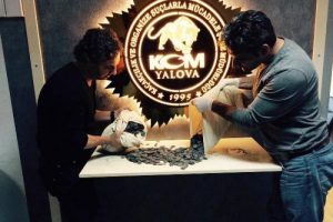 Yalova'da tarihi vurgun! 3.704 sikke ele ge&ccedil;irildi