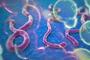 "Ebola i&ccedil;in hazırlıklı olmak gerekiyor"