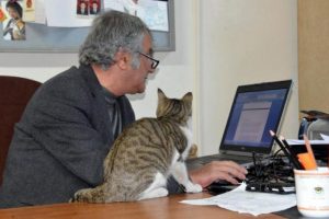 &Uuml;niversiteli 'kedi'