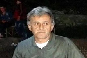 Kestiği ağacın altında kalarak can verdi