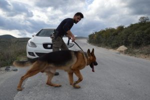 3 yaşındaki İzzet'in cesedini k&ouml;pekler arıyor