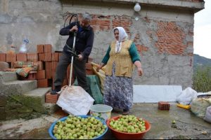 Karadenizli zekası yine şaşırttı