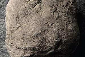 10 bin 500 yıllık parmak izi bulundu