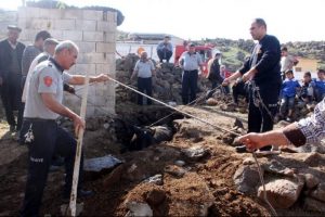 İpini koparan inek kanalizasyona d&uuml;şt&uuml;
