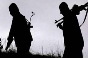 Yol kesen PKK'lılar kamyon yaktı!