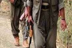 PKK, Almanya'da IŞİD'le savaşacak militan topluyor