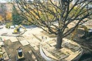 Kesmeye kıyamadılar 400 bin $'a taşıdılar