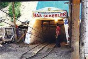 Firma yetkilisinden şok s&ouml;zler! 'Ka&ccedil;anın anası ağlamazmış!..'