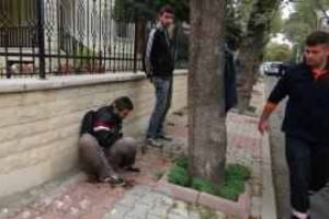 Bonzai kullanan gen&ccedil;lerin ibretlik g&ouml;r&uuml;nt&uuml;s&uuml;