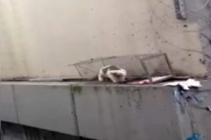 Metrob&uuml;s durağı mahsurları kurtarıldı