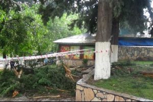 Parkta dehşet! 1'i ağır 3 &ouml;ğrenci yaralandı