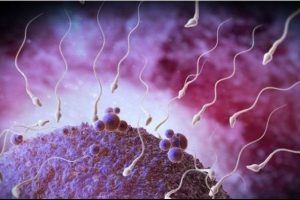 İngiltere'de h&uuml;k&uuml;met desteğiyle sperm bankası a&ccedil;ıldı