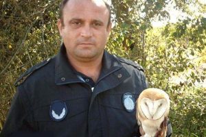 Avcıların vurduğu pa&ccedil;alı baykuş tedaviye alındı