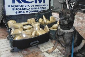 Valiz i&ccedil;inde 54 kilo esrar ele ge&ccedil;irildi