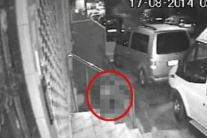 K&ouml;peğe tecav&uuml;z 'mala zarar'
